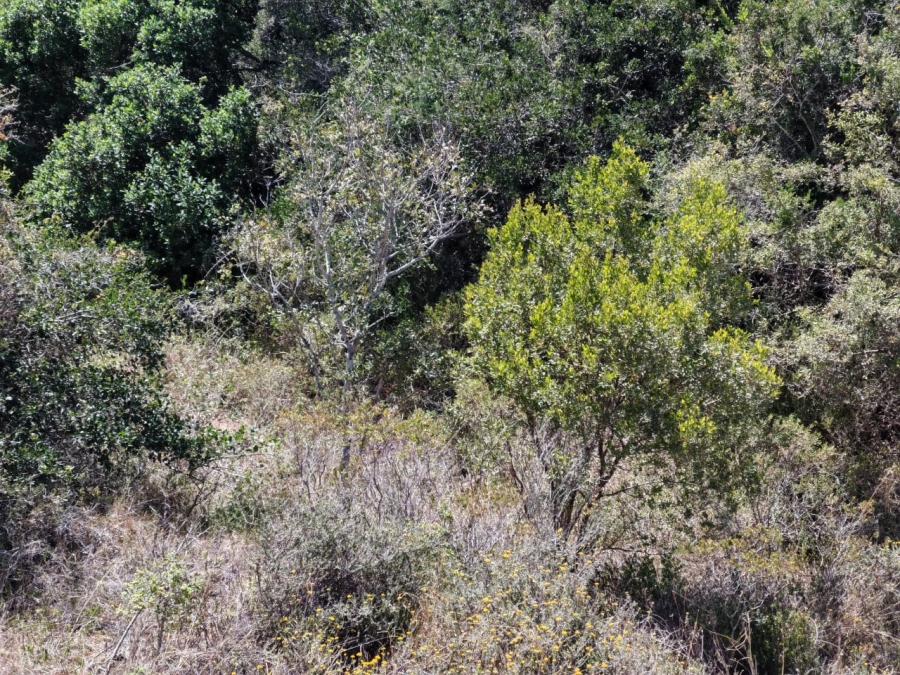 0 Bedroom Property for Sale in Merryhill Eastern Cape